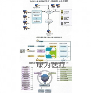 “康為醫(yī)療”中醫(yī)藥學虛擬仿真實驗教學平臺