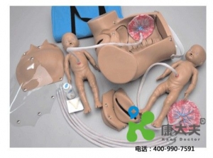 分娩軀干模型