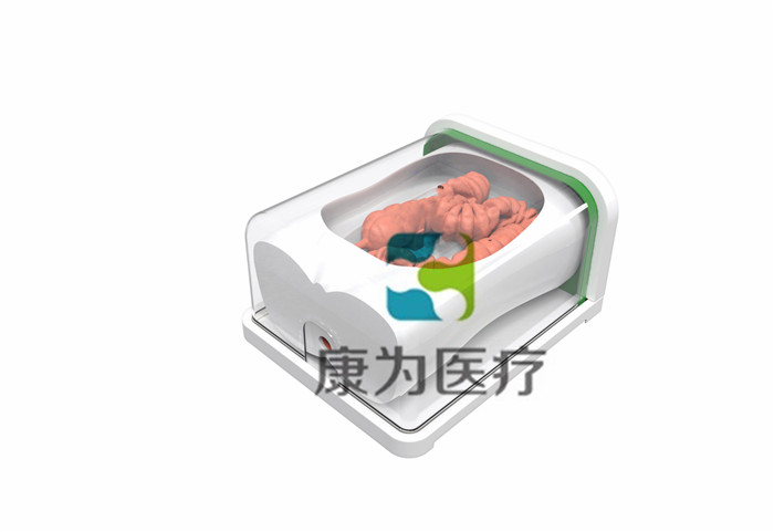 腸鏡手術訓練模擬器