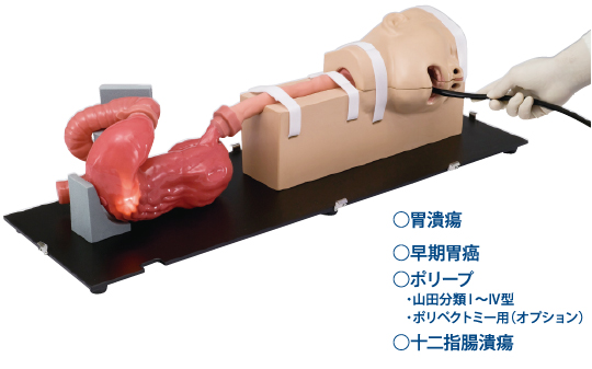 日本進口胃鏡手術訓練模擬器